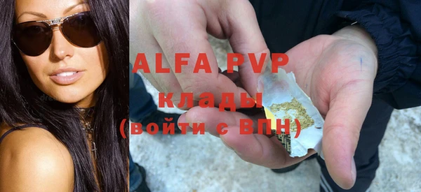 гашик Арсеньев