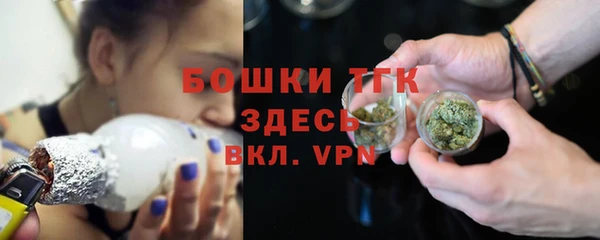 молекула духа Аркадак