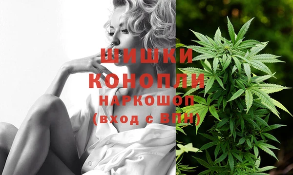 молекула духа Аркадак