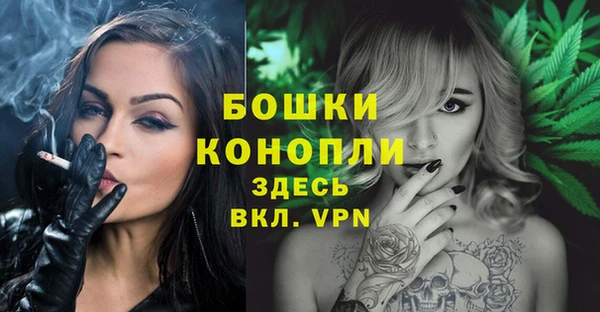 молекула духа Аркадак