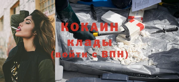гашик Арсеньев
