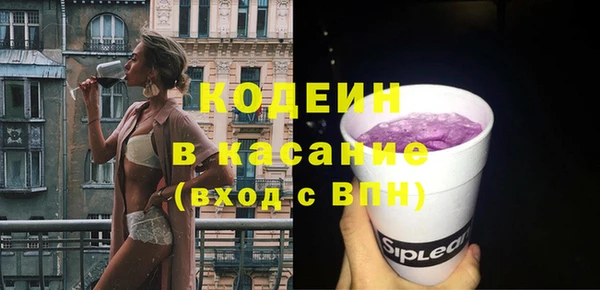 гашик Арсеньев