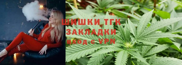 гашик Арсеньев