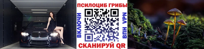 blacksprut сайт  Снежногорск  Псилоцибиновые грибы ЛСД  как найти наркотики 