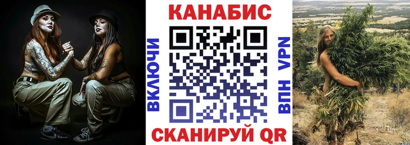 продажа наркотиков  Снежногорск  нарко площадка официальный сайт  Бошки марихуана семена 